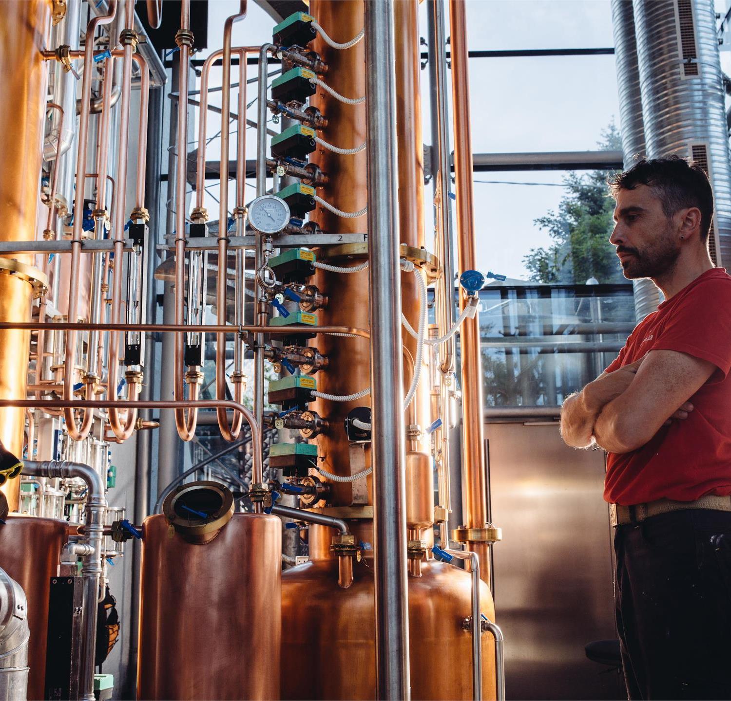 Foto per Visita guidata alla distilleria Unterthurner
