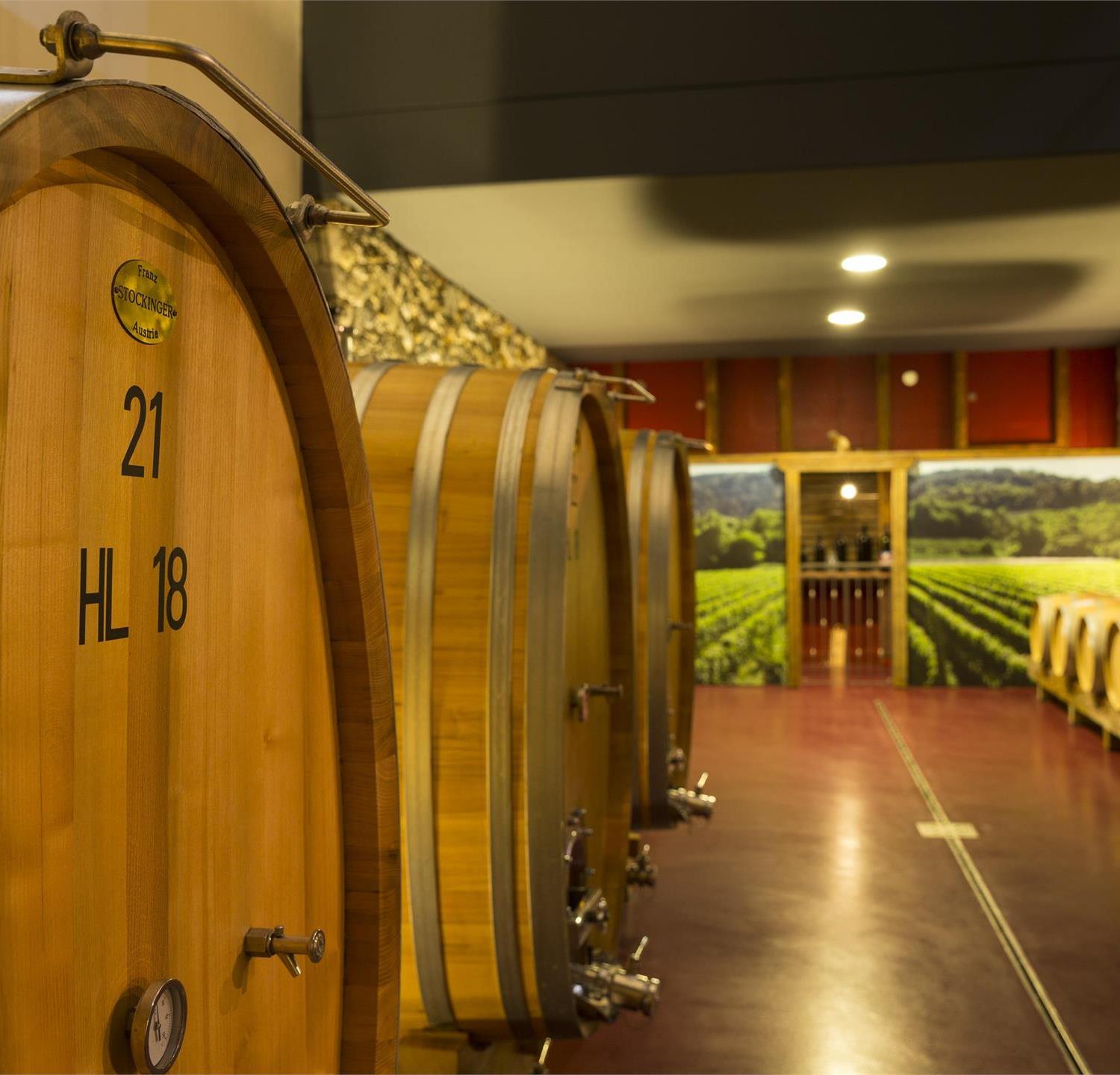 Foto für Faszination Wein: Weinkellerführung im Weingut Plonerhof